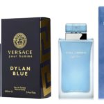 Dolce & Gabbana Light Blue vs. Versace Dylan Blue